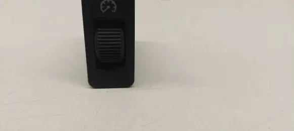 Panel lighting control switch