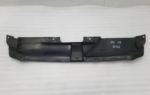 Engine bonnet/hood lock trim molding