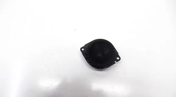 Rear door speaker