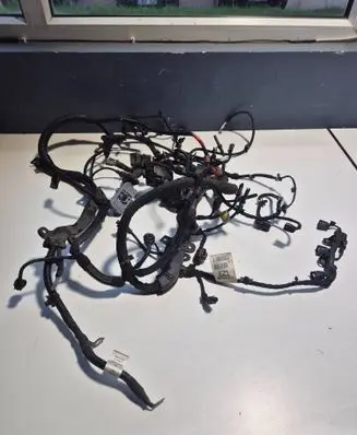 Engine installation wiring loom