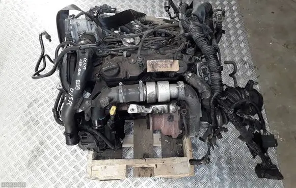 Ford Focus Engine dv5fc