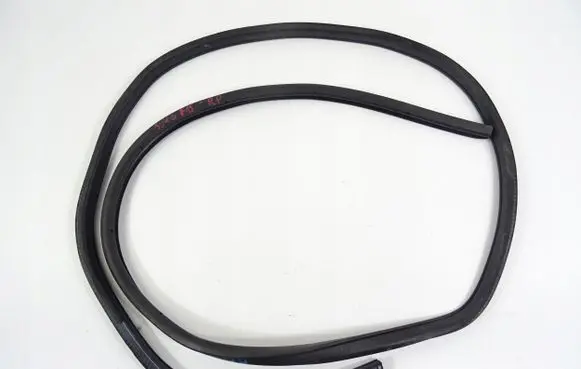 Nissan Juke I F15 Front door rubber seal 