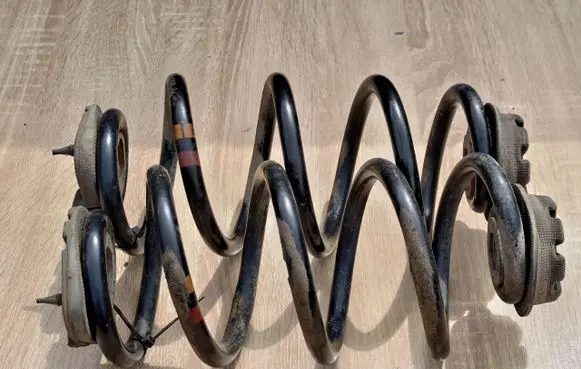 Rear coil spring