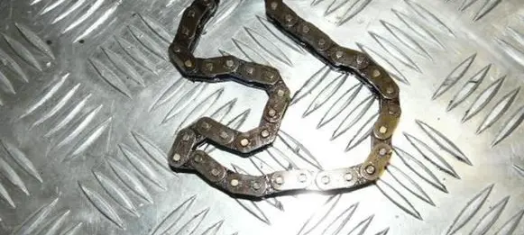 Renault Laguna I Timing chain (engine) 