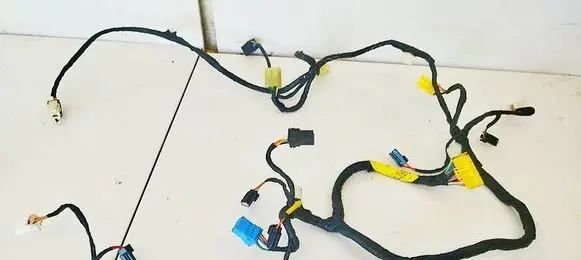 Tesla Model S Other wiring loom F181FPCAA01