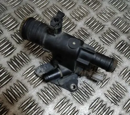 Thermostat/thermostat housing