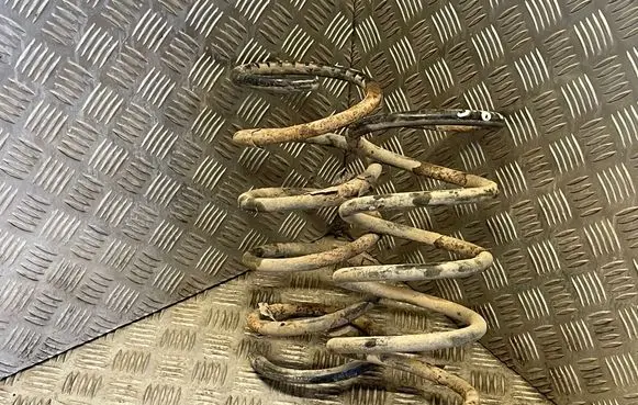 Rear coil spring