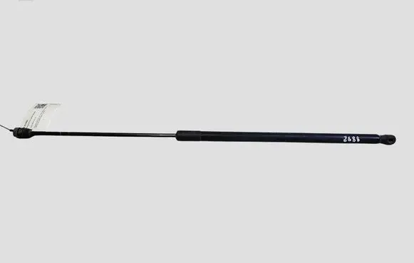 Ford C-MAX II Tailgate/trunk strut/damper AM51R406A10AB