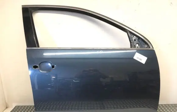 Volkswagen Jetta V Front door 