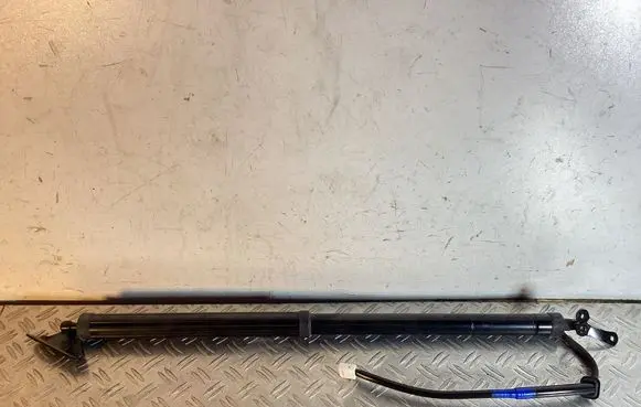 Tailgate/trunk strut/damper