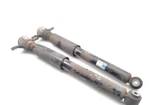 KIA Niro Rear shock absorber/damper 55326-F2000
