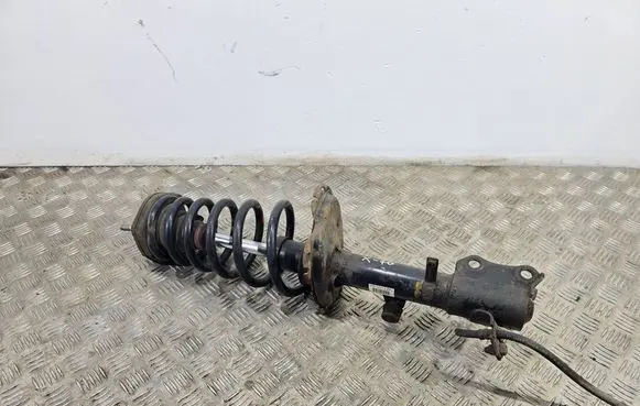 Lexus RX 330 - 350 - 400H Rear shock absorber/damper 4854048260