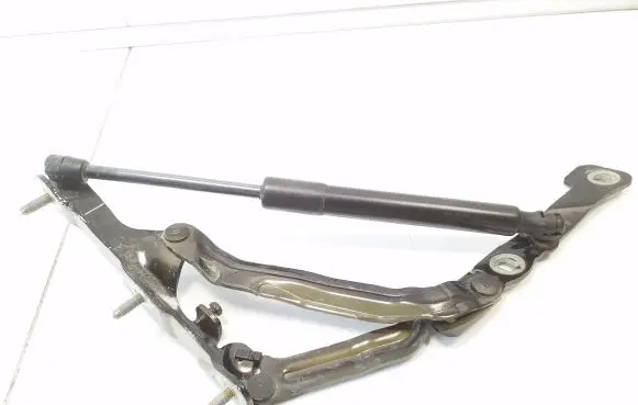 Tesla Model 3 Tailgate/trunk/boot hinge 109156000B