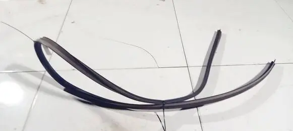 Citroen C3 Rubber seal front coupe door 