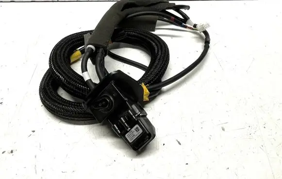 Nissan Juke I F15 Reversing camera 28442BV80C 2034898
