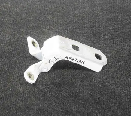 Opel Mokka Rear door lower hinge P16257