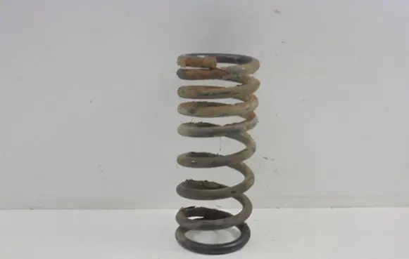 KIA Carnival Rear coil spring