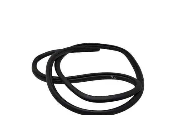 Toyota Prius (XW50) Rear door rubber seal (on body) 