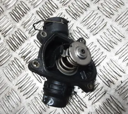 Thermostat/thermostat housing