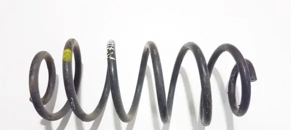 Rear coil spring