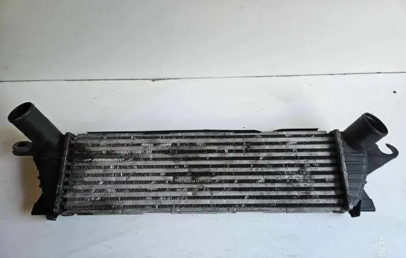 Renault Kangoo I Intercooler radiator 8200140970