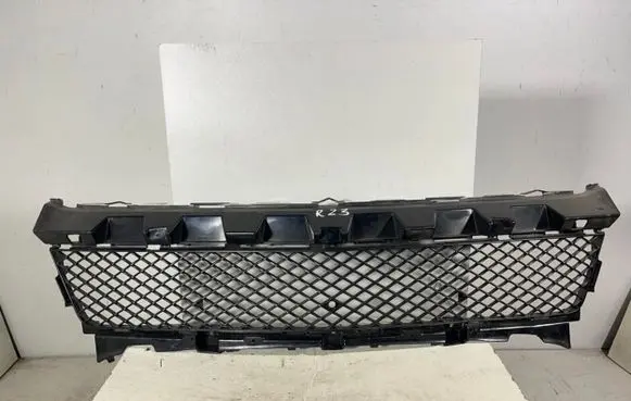 Mercedes-Benz SLK R172 Front bumper lower grill A1728851523