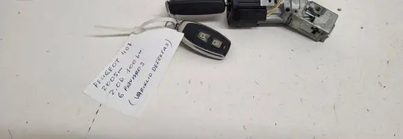 Peugeot 407 Ignition lock 9648445180 N0502073