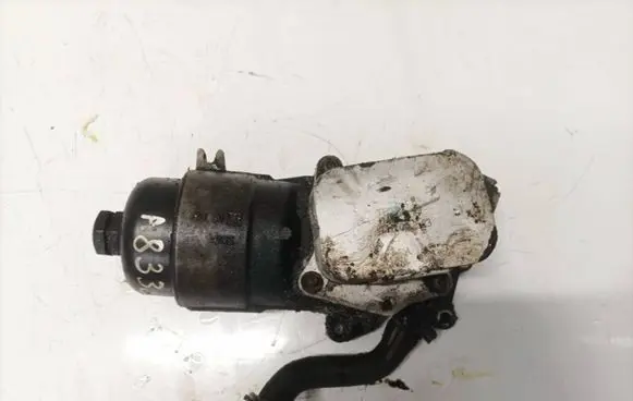Citroen C4 I Oil filter cover 