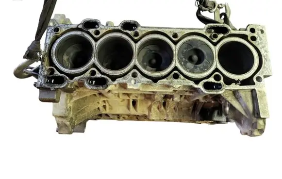Volvo V70 Engine block D5244T 550302