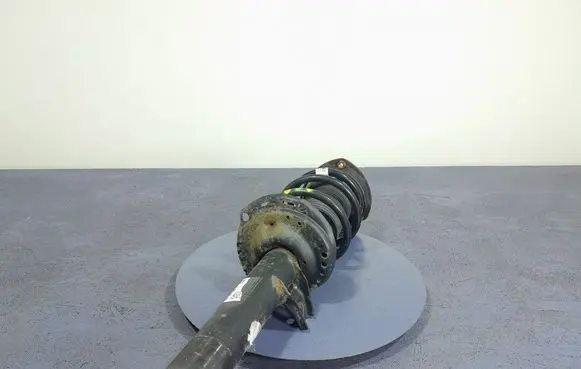 Volkswagen PASSAT B7 USA Front shock absorber/damper