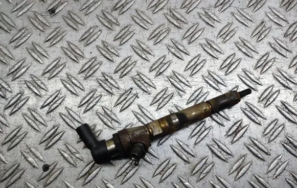 Nissan Qashqai+2 Fuel injector H8200704191