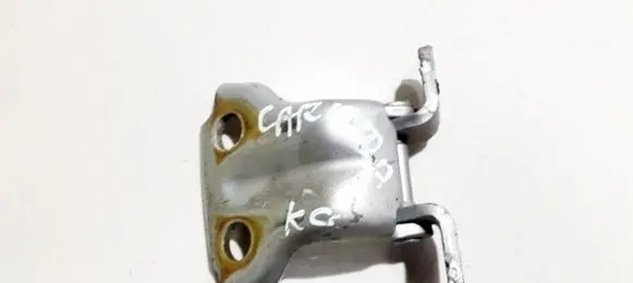 Mitsubishi Carisma Rear door lower hinge