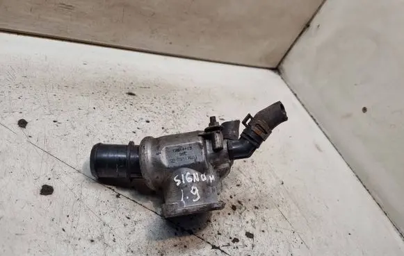 Thermostat/thermostat housing