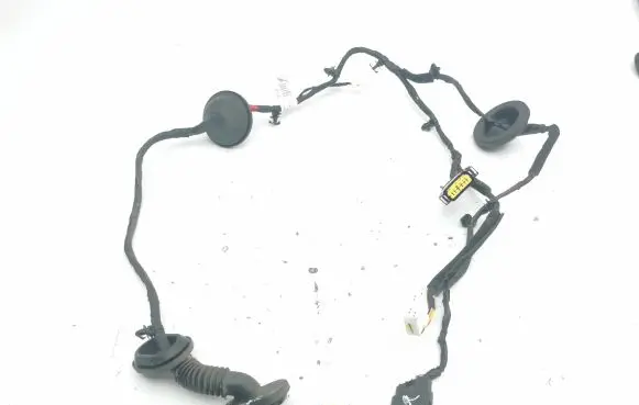 Hyundai Santa Fe Rear door wiring loom 916502W031