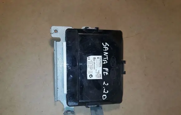 Hyundai Santa Fe Other control units/modules 954002WCV0