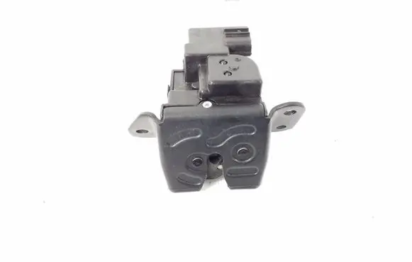 Hyundai Santa Fe Loading door lock 812302W000
