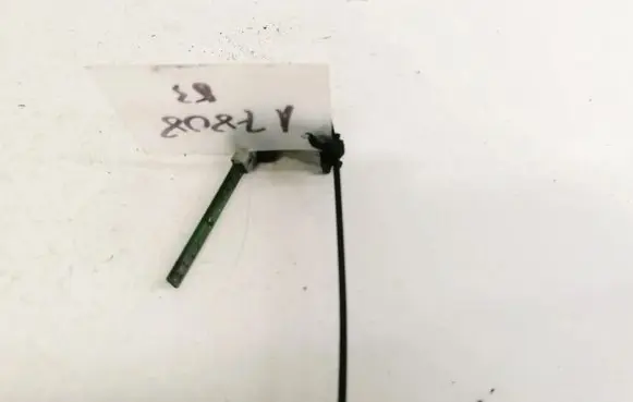 Interior temperature sensor