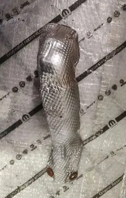 Jeep Grand Cherokee Exhaust heat shield