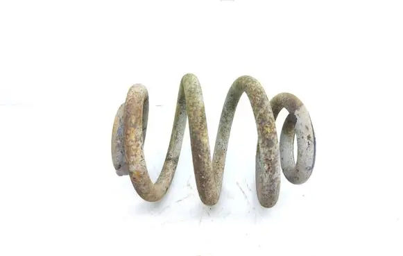 Rear coil spring