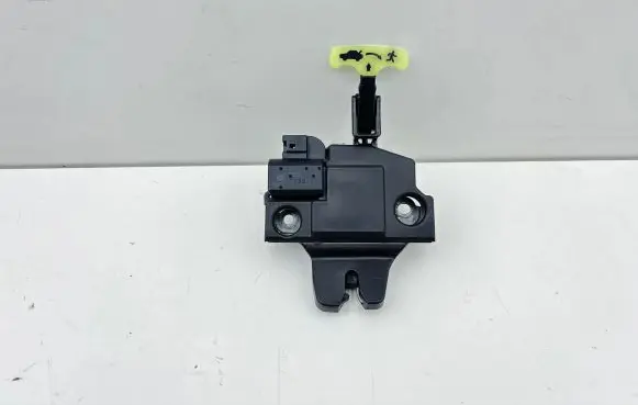 Loading door lock