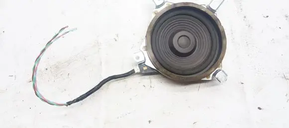 Front door speaker
