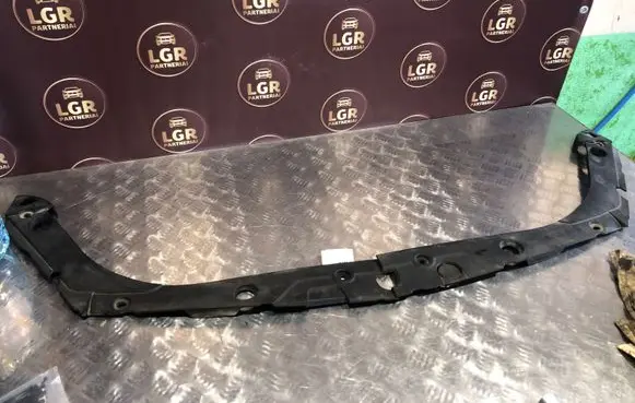 Engine bonnet/hood lock trim molding