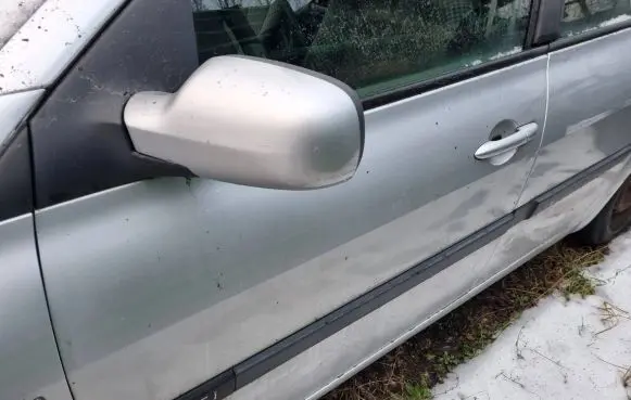 Renault Megane II Front door