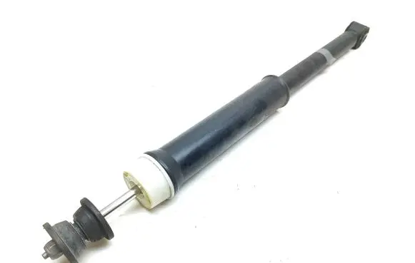 Renault Clio V Rear shock absorber/damper 5521030020 562103002R