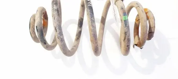 Rear coil spring