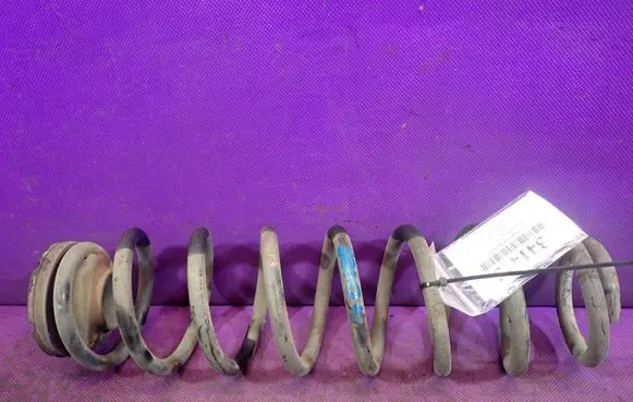 Rear coil spring