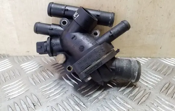 Thermostat/thermostat housing