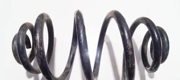 Volkswagen PASSAT B5 Rear coil spring