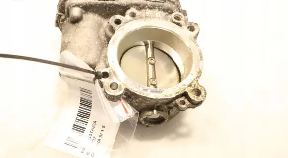 Throttle body valve