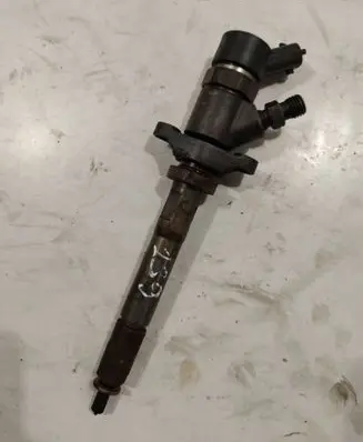 Citroen Berlingo Fuel injector 0445110239